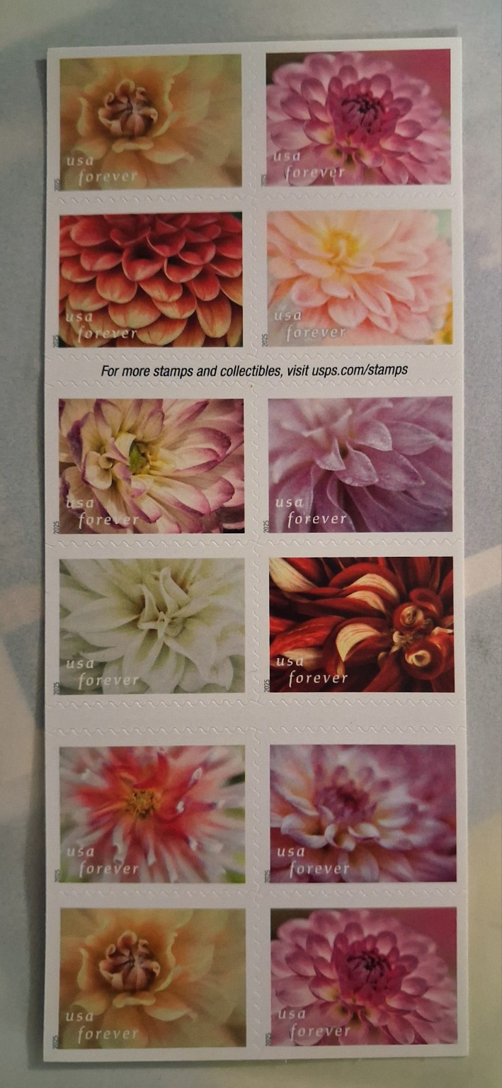 United States Forever stamps featuring close-up photographs of dahlias